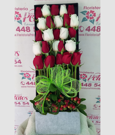 015-Tapacaja de rosas bicolor