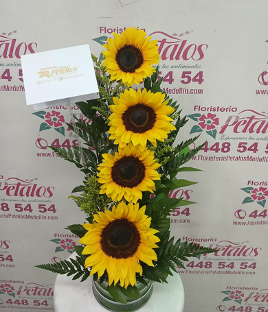 019-Girasoles sol