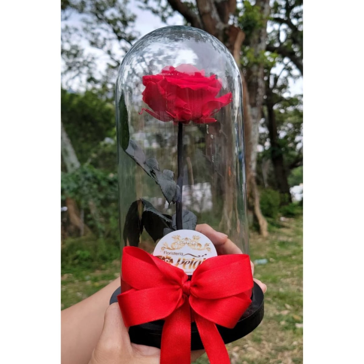 Rosa eterna roja